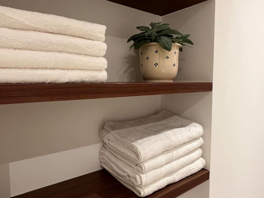 Apartament House Of Legend Antwerpia Zewnętrze zdjęcie